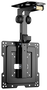 Aisens Soporte de Techo Giratorio y Plegable para Monitor/TV 19-43 Pulgadas, Negro
