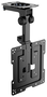 Aisens Soporte de Techo Giratorio y Plegable para Monitor/TV 19-43 Pulgadas, Negro