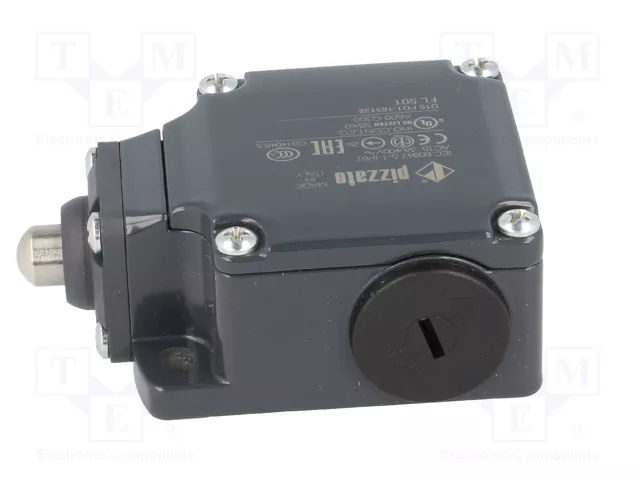 PIZZATO ELETTRICA FL 501 Interruptor de fin de carrera espárrago Ø10mm NO + NC 10A