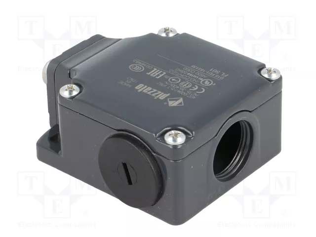 PIZZATO ELETTRICA FL 501 Interruptor de fin de carrera espárrago Ø10mm NO + NC 10A