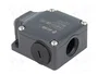 PIZZATO ELETTRICA FL 501 Interruptor de fin de carrera espárrago Ø10mm NO + NC 10A