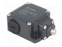 PIZZATO ELETTRICA FL 501 Interruptor de fin de carrera espárrago Ø10mm NO + NC 10A
