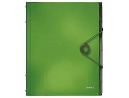 Leitz Clasificadora Fuelle DIN A4 Polipropileno 6 Compartimentos Color Verde 17x320x260 mm