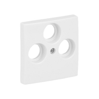 BUSCH-JAEGER 1743-03-914 Zentralscheibe alpinweiß Busch-balance SI Abd.Datenkommunikation