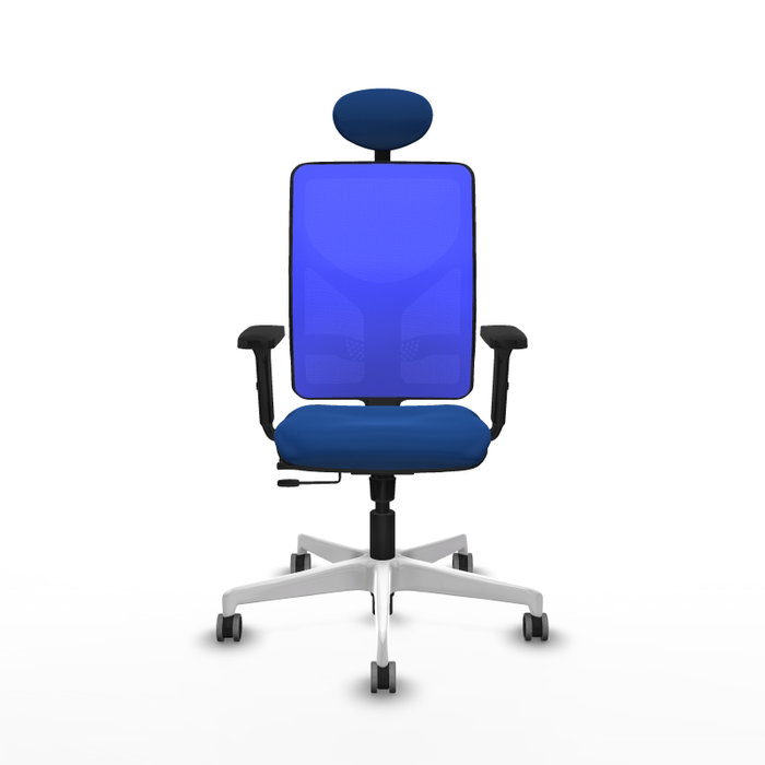 PIQUERAS Y CRESPO Silla de oficina Motilla con mecanismo Sincro/Traslack Azul PIQUERAS Y CRESPO Silla de oficina Motilla con mecanismo Sincro/Traslack Azul