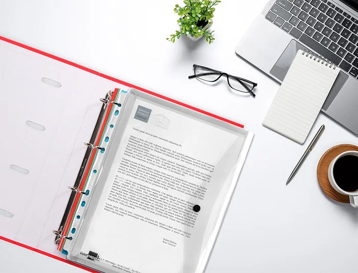 Liderpapel 36664 Carpeta Dossier Polipropileno Multitaladro Cierre Broche DIN A4 Transparente Pack 5