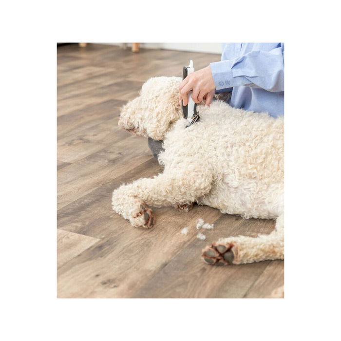 Cortapelos para mascotas Trixie TR1200 Acero Inoxidable Cerámico