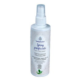 ESENTIAL AROMS Spray Purificante Hidroalcohólico Bio 100ml