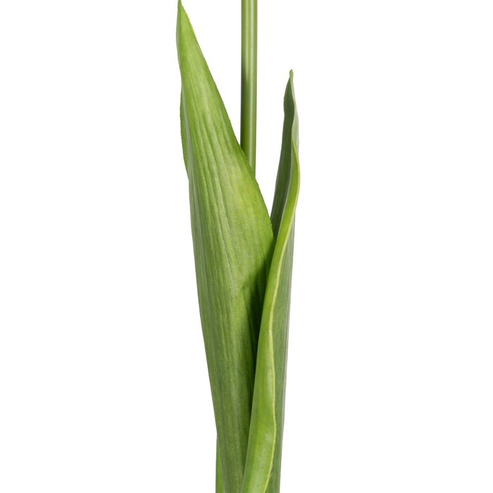 Flor Tulipán Amarillo Tejido Decoración 63 cm (Set de 12)