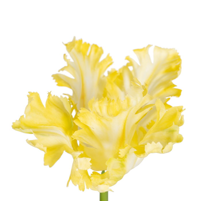 Flor Tulipán Amarillo Tejido Decoración 63 cm (Set de 12)
