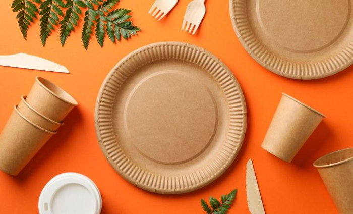 Algon Set 10 Platos Cartón Kraft 20 cm (24 Unidades)