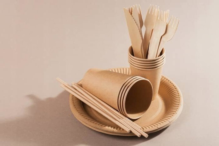 Algon Set 10 Platos Cartón Kraft 20 cm (24 Unidades)