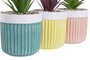 DKD Home Decor Planta Boho Verde Amarillo Coral 10 x 18 x 10 cm