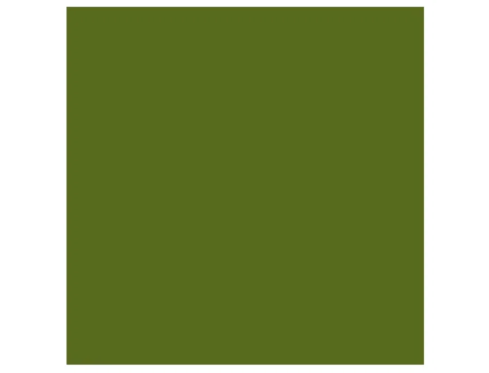 Guarro Cartulina Verde Safari 185g Din A4 50 Unidades