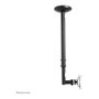 Newstar Soporte de Techo para TV FMPA-C050 Black 10-30 Pulgadas, Sostiene hasta 20 kg