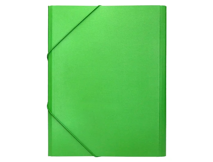 Liderpapel Carpeta clasificadora 12 departamentos folio prolongado verde claro