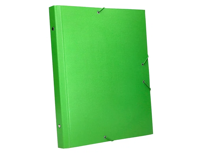 Liderpapel Carpeta clasificadora 12 departamentos folio prolongado verde claro