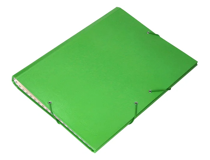 Liderpapel Carpeta clasificadora 12 departamentos folio prolongado verde claro