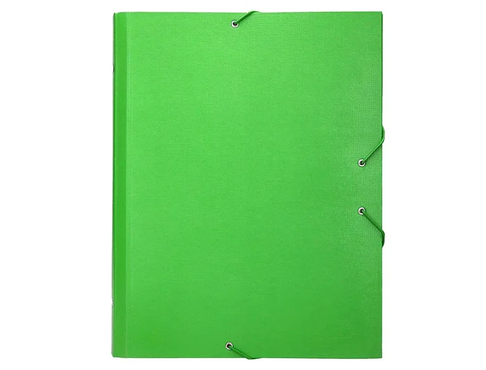 Liderpapel Carpeta clasificadora 12 departamentos folio prolongado verde claro