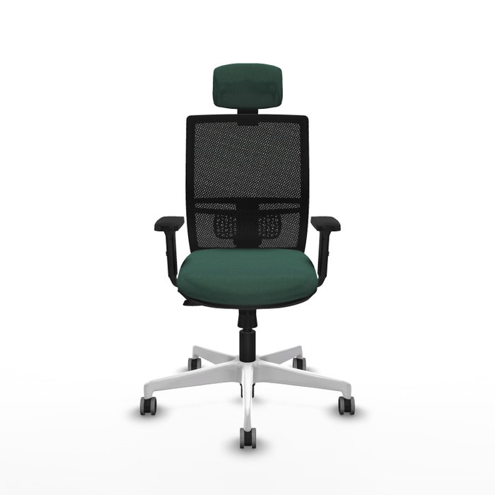 PIQUERAS Y CRESPO Silla de oficina Yunquera con mecanismo Sincro/Traslack, Verde botella y Negro PIQUERAS Y CRESPO Silla de oficina Yunquera con mecanismo Sincro/Traslack, Verde botella y Negro