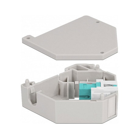 DeLOCK Adaptador de carril DIN con Keystone SC Simplex hembra a SC Simplex hembra