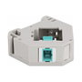 DeLOCK Adaptador de carril DIN con Keystone SC Simplex hembra a SC Simplex hembra
