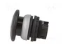 EATON ELECTRIC Interruptor de presión RMQ-Titan Blanco 22mm