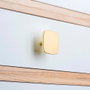 Rei Pomo para Muebles Modelo 778 - Zamak Acabado Oro Mate, Ø40 mm, Blister 4 Unidades