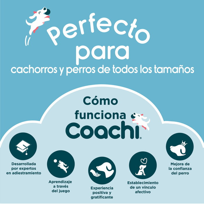 Juguete de adiestramiento Coachi TRAINING DUMBBELL Azul