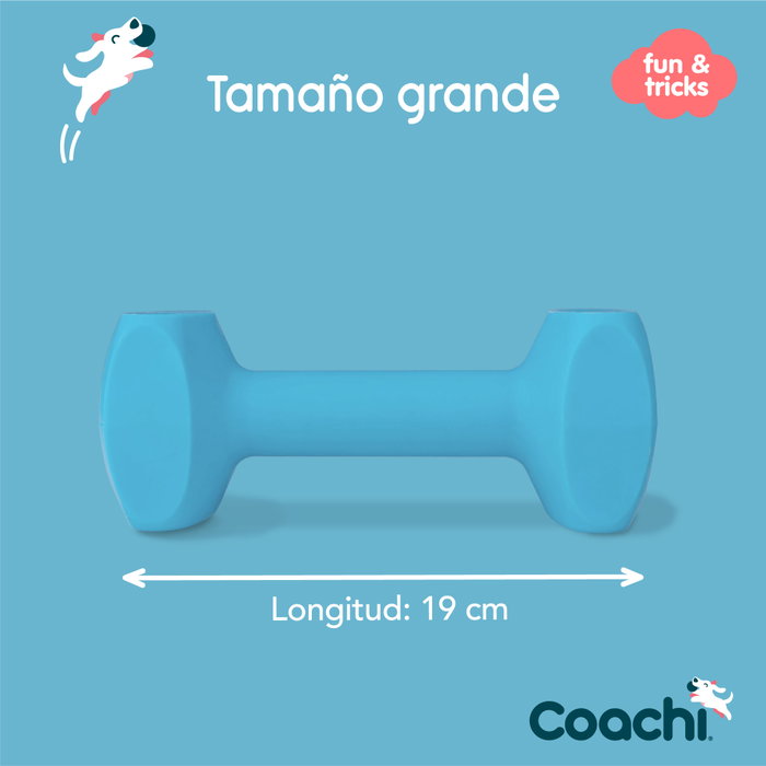 Juguete de adiestramiento Coachi TRAINING DUMBBELL Azul Juguete de adiestramiento Coachi TRAINING DUMBBELL Azul