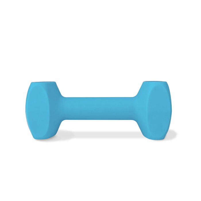 Juguete de adiestramiento Coachi TRAINING DUMBBELL Azul Juguete de adiestramiento Coachi TRAINING DUMBBELL Azul