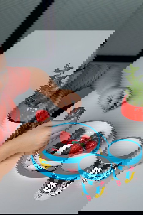 Plato Mickey Mouse CZ11295