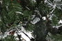 DKD Home Decor Árbol de Navidad Verde con 170 LED, 70x70x150 cm