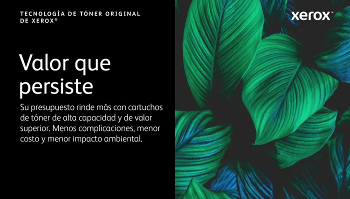 Xerox 006R04685 Tóner Negro de Alto Rendimiento para C410 y VersaLink C415