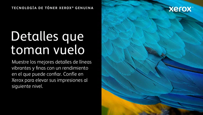 Xerox 006R04685 Tóner Negro de Alto Rendimiento para C410 y VersaLink C415