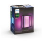 Philips Hue Impress Aplique de Pared Inteligente Exterior, Luz Blanca y de Color, Negro, Grande