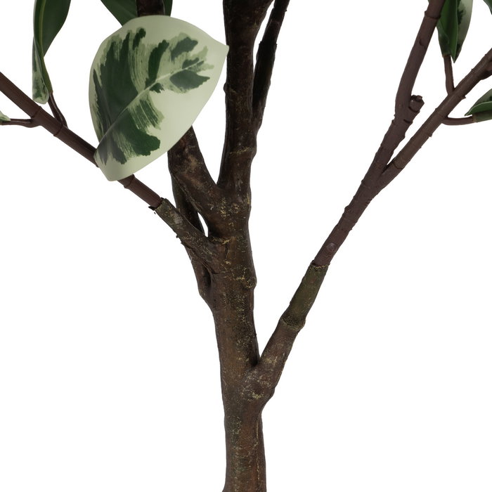 Planta Magnolia Verde-Blanco Goma 150 cm