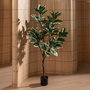 Planta Magnolia Verde-Blanco Goma 150 cm