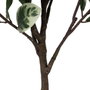 Ixia Planta Magnolia Verde-Blanco 150 cm