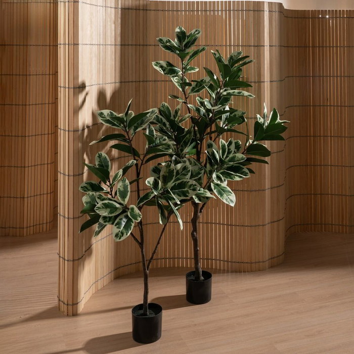 Ixia Planta Magnolia Verde-Blanco 150 cm