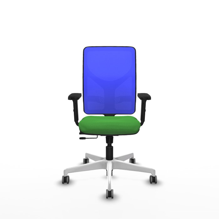 PIQUERAS Y CRESPO Silla de oficina Motilla con mecanismo Sincro/Traslack, Verde y Azul PIQUERAS Y CRESPO Silla de oficina Motilla con mecanismo Sincro/Traslack, Verde y Azul