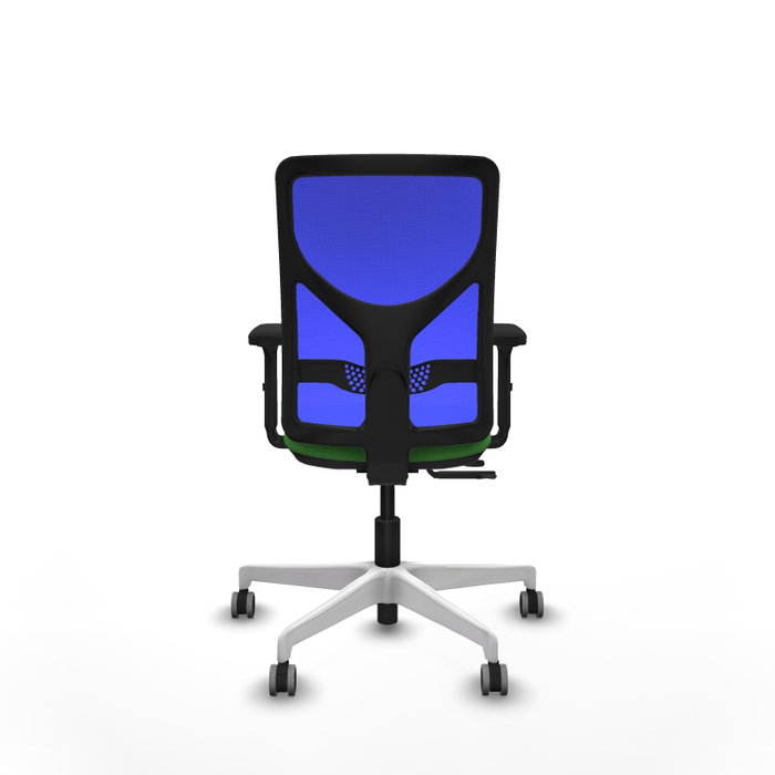 PIQUERAS Y CRESPO Silla de oficina Motilla con mecanismo Sincro/Traslack, Verde y Azul PIQUERAS Y CRESPO Silla de oficina Motilla con mecanismo Sincro/Traslack, Verde y Azul