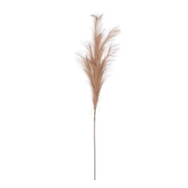 Ixia Rama de Junco Marrón Artificial Decoración 12 x 12 x 110 cm