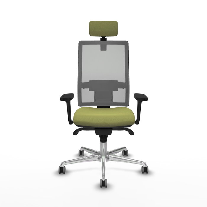 PIQUERAS Y CRESPO Silla de oficina Horna con mecanismo Sincro, Verde oliva y Gris PIQUERAS Y CRESPO Silla de oficina Horna con mecanismo Sincro, Verde oliva y Gris