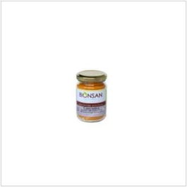 BIONSAN Cúrcuma En Polvo 75g Eco