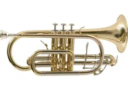 SML Corneta Sib CO870-L para Música