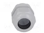 FIBOX Sello aislante M25