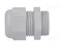 FIBOX Sello aislante M25