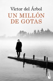 Un millón de gotas, Víctor Del Árbol - BOOKET