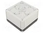 SPELSBERG TK PC 1313-7-TO Carcasa Universal de Policarbonato Gris